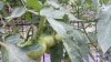 20220714_130625.jpg