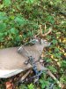 Image1659579481.379953.jpg