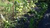 20220806_100119.jpg