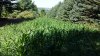 20220806_103649.jpg