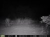 one sided buck 8-29-12.jpg