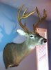 IMG_0875.jpg