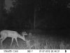 buck 7-27-12.jpg