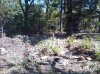 From the water hole.jpg