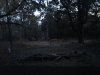 2012-07-23 20.33.26.jpg