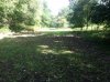 Food Plot 1.jpg