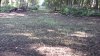 20220819_100059.jpg