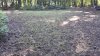 20220819_100028.jpg