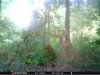 Screenshot_20220828-125912_Gallery.jpg