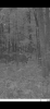 A40C96FA-1A30-45DA-AADB-50C7ADB05C8D.png