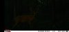 Screenshot_20220912-164902_Gallery.jpg