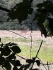 IMG_2062.JPEG
