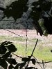 IMG_2063.JPEG