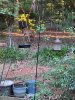 Image1663197194.859925.jpg