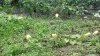 20220916_133140.jpg