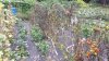 20220916_132751.jpg