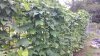 20220916_131712.jpg