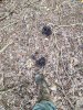20220917_094739.jpg