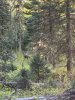 Image1663708813.006442.jpg