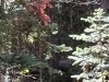 Image1663708837.532237.jpg