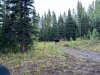Image1663948600.971004.jpg