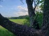 20220924_082424.jpg