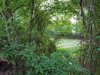 20220924_082431.jpg