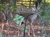 Image1664321339.410159.jpg