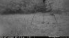 PICT1926_2022092811029YKYK.jpg