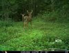 3D1B4414-777E-4258-81EA-A9603E6146D2.jpeg