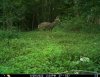 09B8186D-FDCD-4883-8907-1952F31C0E27.jpeg