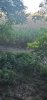 20221001_181159.jpeg
