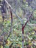 20221015_090329.jpg