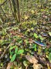 20221015_090757.jpg