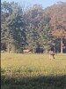 IMG_20221015_172405397.jpg