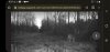 Screenshot_20221028-082931_Chrome.jpg