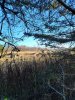20221028_155930.jpg