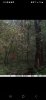 Screenshot_20221113_050526_Facebook.jpg