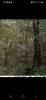 Screenshot_20221113_050437_Facebook.jpg
