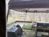 Backyard turkeys.jpg