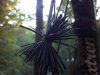 2012-09-10_07-03-29_50.jpg