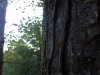 2012-09-10_07-03-46_228.jpg