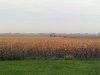 IMG02196-20120925-1436.jpg