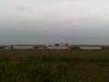 IMG02200-20120926-1236.jpg