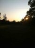 ImageUploadedByTapatalk1348699137.804456.jpg