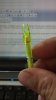 2012-10-01_16-35-43_7.jpg