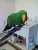 20111223140202.jpg