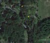 bedded doe 1.jpg