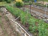 20230613_130914.jpg