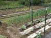 20230613_130910.jpg